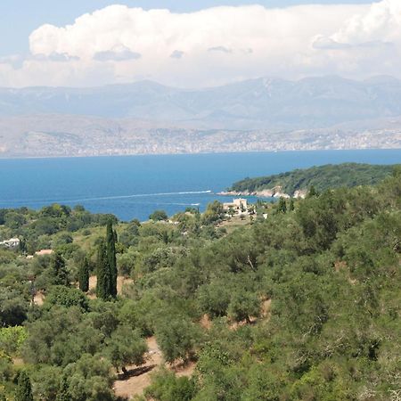 Odyssey Villas Kassiopi Oda fotoğraf